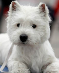 进入